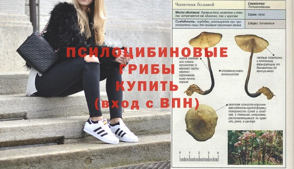 spice Баксан