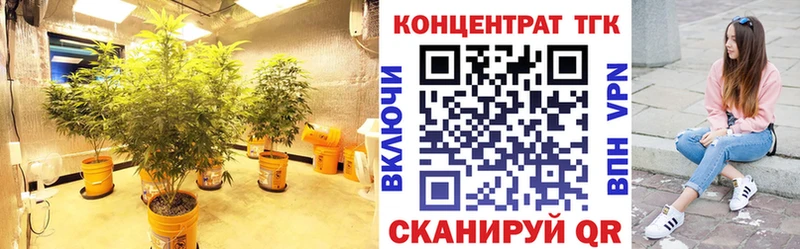купить  цена  Городище  ТГК Wax 