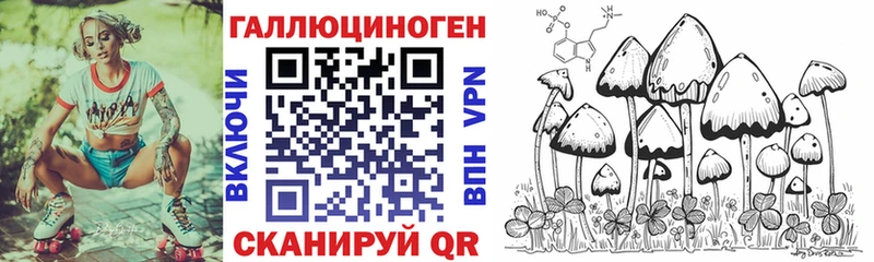 купить закладку  Городище  Псилоцибиновые грибы Cubensis 
